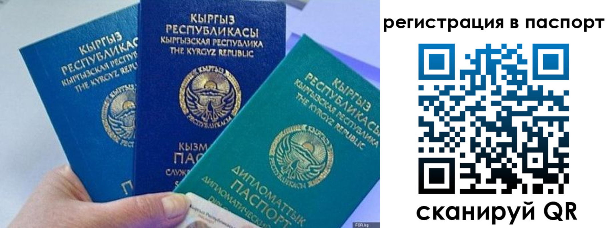 прописка 2025 в Оленегорске